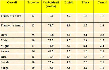 tabella composizione chimica cereali