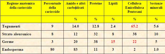 tabella composizione cariosside del grano