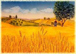 dipinto di un campo di grano