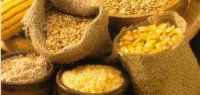 selezione di cereali