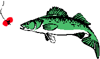 pesce