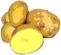 patate