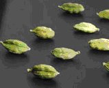 cardamomo