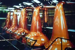 il pot still