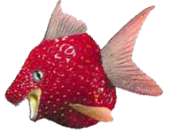 Pesce fragola