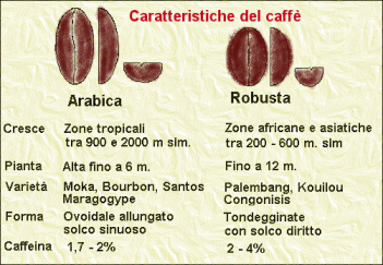 differenze tra arabica e robusta differenze tra arabica e robusta