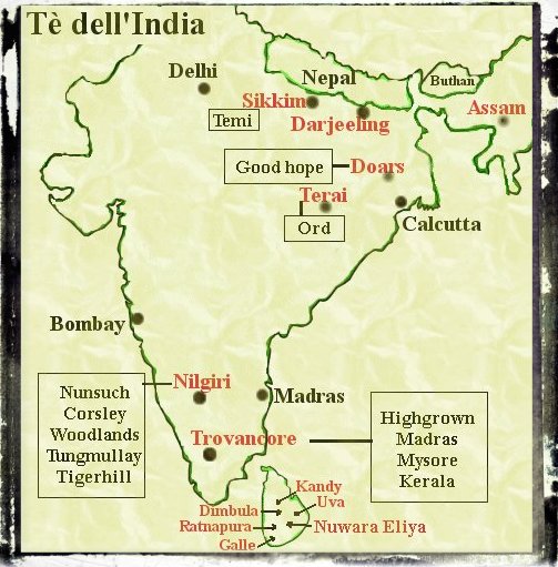 tè dell'India