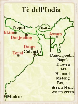tè dell'India