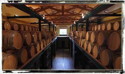 la bottaia, quì avviene l'elevazione del vino